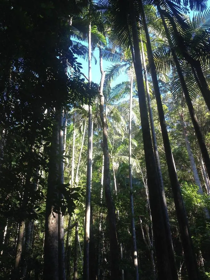 Pengelly'S Boutique Private Residence Buderim Villa